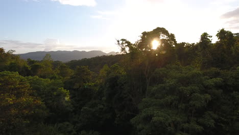 Vista-Aérea-De-Un-Parque-Amazónico-De-Guayana-Al-Atardecer-En-El-Bosque-De-Saül